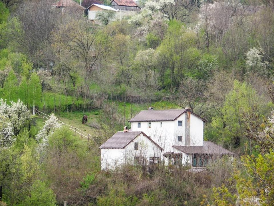 Villa Casa Piscul Lupului Pucioasa Exterior foto