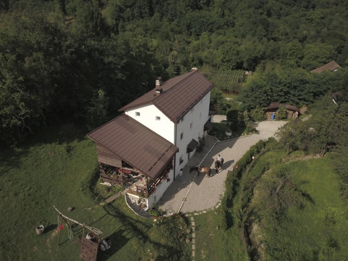 Villa Casa Piscul Lupului Pucioasa Exterior foto